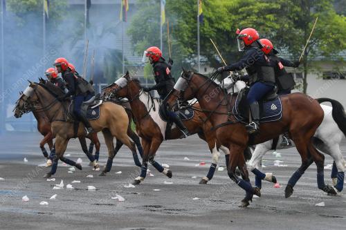 KURSUS ASAS MENUNGGANG KUDA