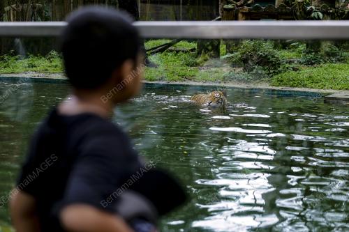 ZOO NEGARA