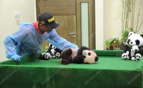 KL23_17122015_AKMAL_ANAK