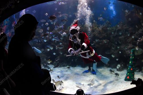 KL23_17122017_SANTA