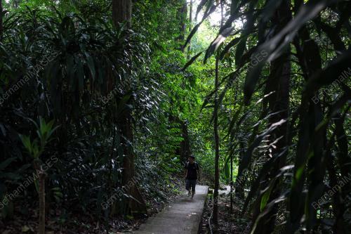HUTAN SIMPAN EKO RIMBA KUALA LUMPUR