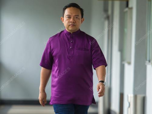 DATUK WAN SAIFUL WAN JAN