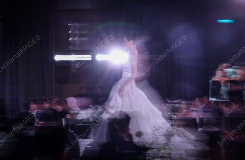 TIMELESS LOVE