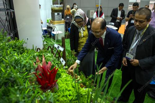 KL23_20092017_HERBAL