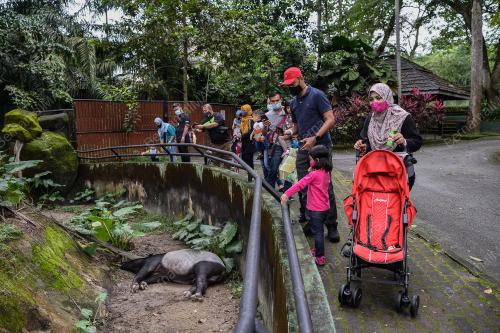 ZOO NEGARA DIBUKA SEMULA