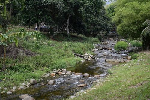TINJAUAN COVID-19
