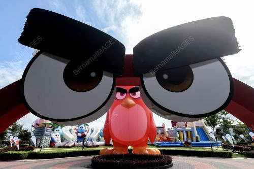 KL23_21112019_ANGRY-BN201911087067