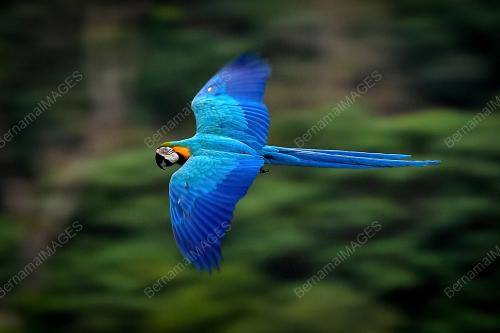 KOMUNITI KUALA LUMPUR FREE FLY