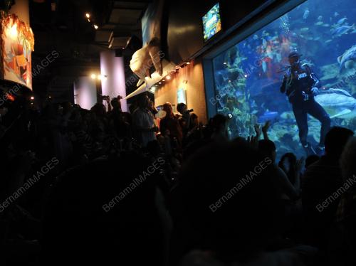 KL23_24012012_AQUARIA
