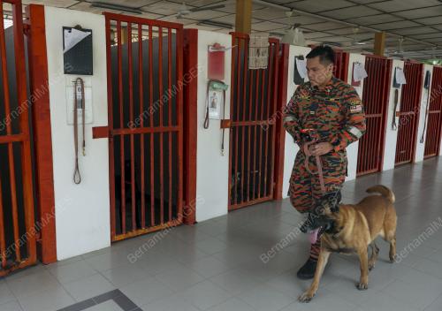 UNIT K9 JABATAN BOMBA DAN PENYELAMAT MALAYSIA