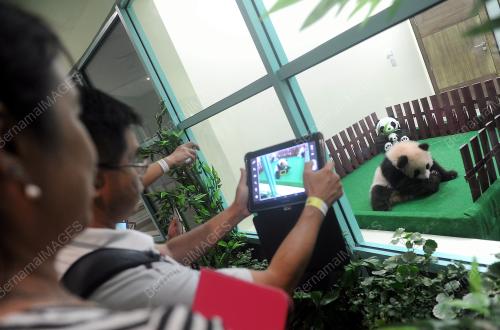 KL23_24122015_PANDA