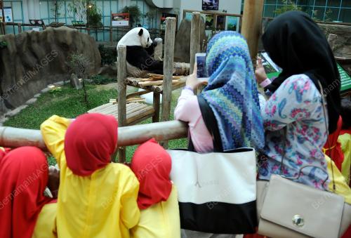 KL23_26022015_PANDA