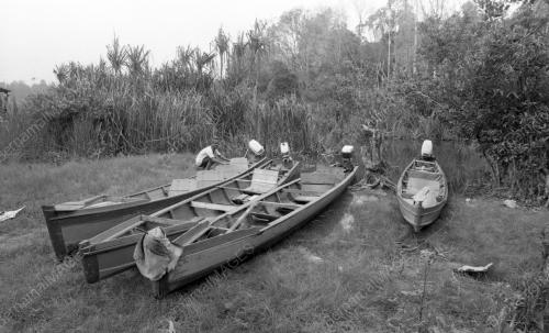 KL23_27012015_TASIK_CHINI