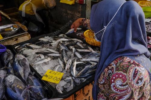 TINJAUAN HARGA BARANG MENTAH MAKANAN