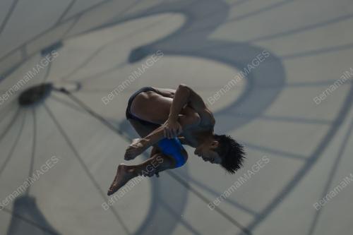 FINA DIVING GRAND PRIX 2022