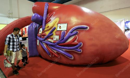 KL23_28092013_HEART_IJN3