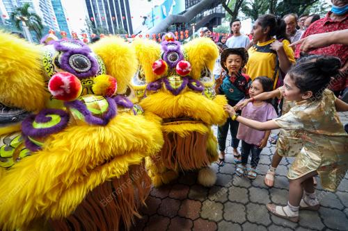 SAMBUTAN TAHUN BAHARU CINA