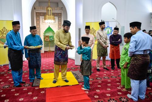 TENGKU AMIR SHAH