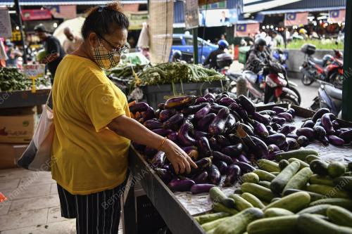 TINJAUAN SAYUR-SAYURAN