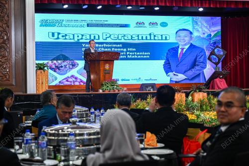 DATUK CHAN FOONG HIN