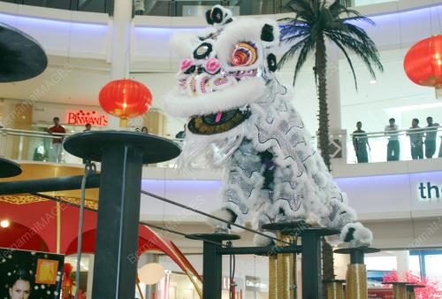 KL24_02022011_LION_DANCE
