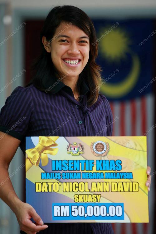 NICOL ANN DAVID