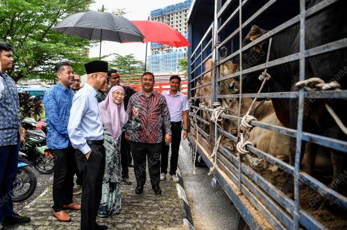 DATUK SERI DR WAN AZIZAH WAN ISMAIL