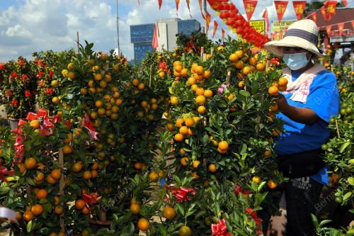 TINJAUAN PERSIAPAN TAHUN BARU CINA