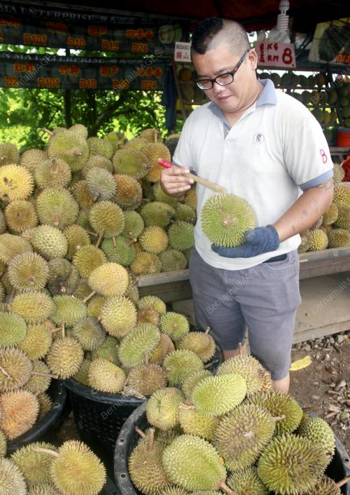 KL24_06122012_DURIAN