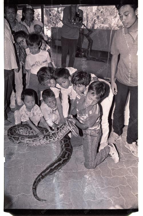KL24_07011990_ESSO