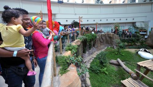 KL24_08022016_ZOO