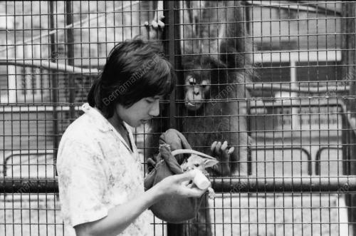 ZOO NEGARA