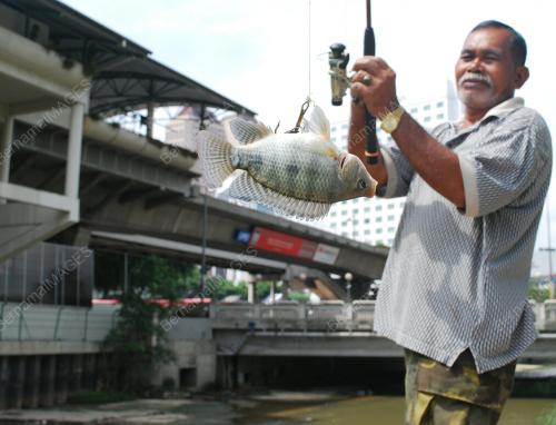 TANGKAPAN IKAN