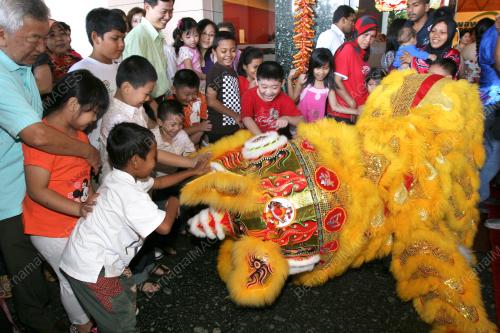 TAHUN BARU CINA