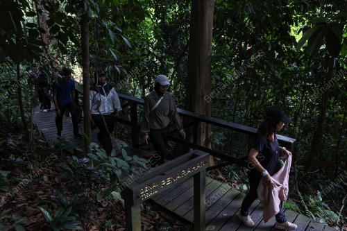 HUTAN SIMPAN EKO RIMBA KUALA LUMPUR