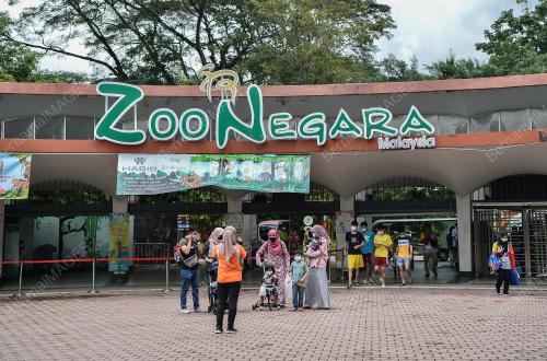 ZOO NEGARA DIBUKA SEMULA