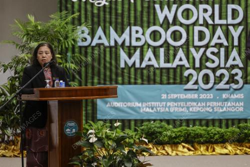 DR NORMAWATI MUHAMMAD