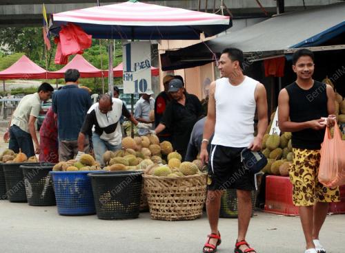 MUSIN DURIAN