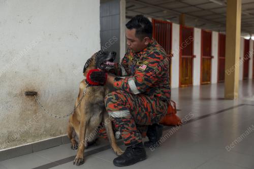 UNIT K9 JABATAN BOMBA DAN PENYELAMAT MALAYSIA