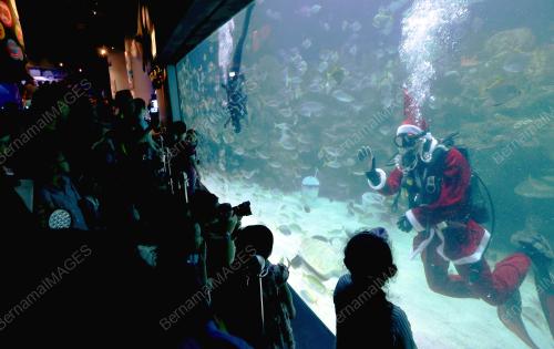 KL24_25122015_NATAL