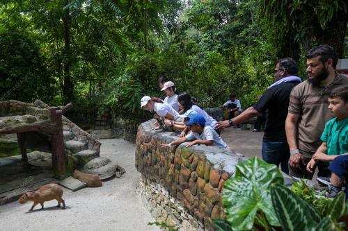 KL24_25122025_ZOO_NEGARA