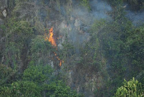 KL24_26022016_TERBAKAR