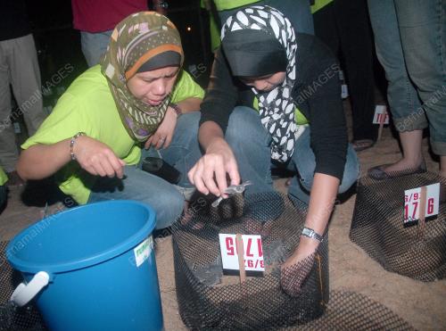 BANK PEMBANGUNAN MALAYSIA BERHAD