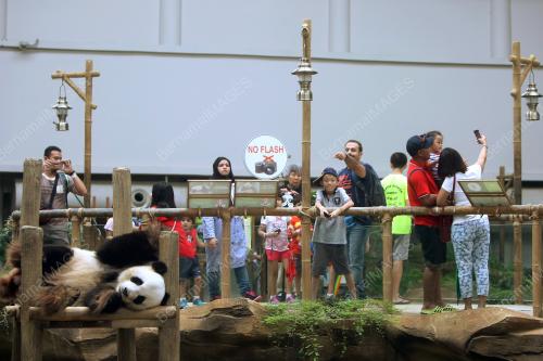 KL24_27062017_ZOO_BN201706267942