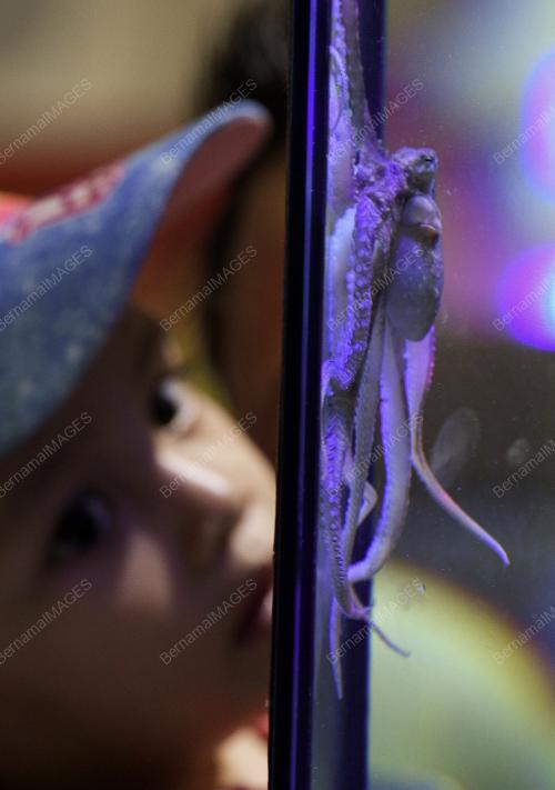 KL24_27112018_MAHA_SOTONG