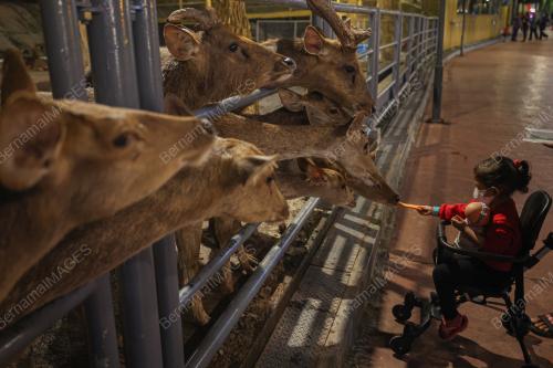 99 WONDERLAND PARK JADI TARIKAN