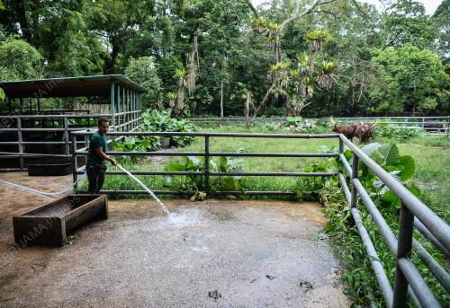 TINJAUAN PERSIAPAN PERMBUKAAN ZOO NEGARA
