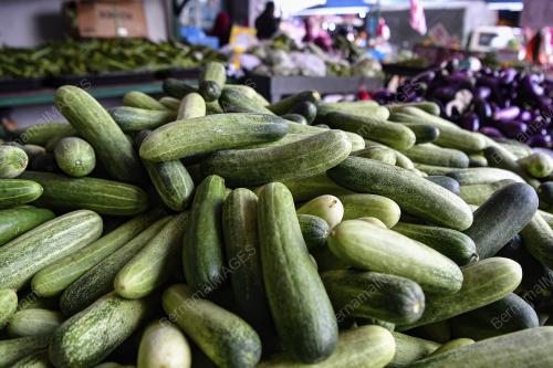 TINJAUAN SAYUR-SAYURAN