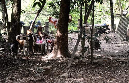 KL25_01012015_HUTAN