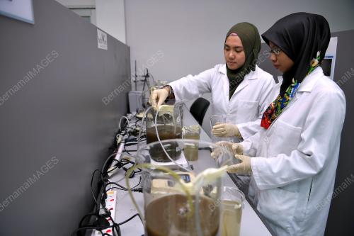KL25_01042019_IWK_BN201903244318
